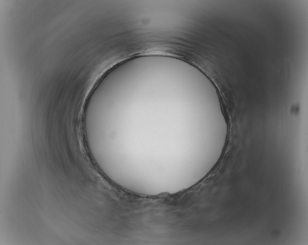 X0000110670289200906261304