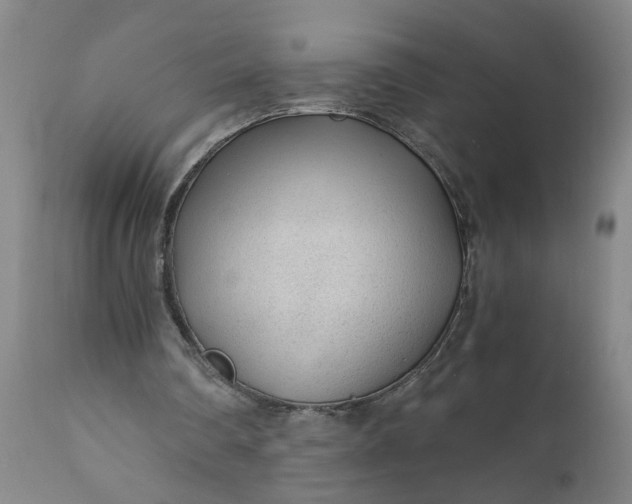 X0000110670290200906261304