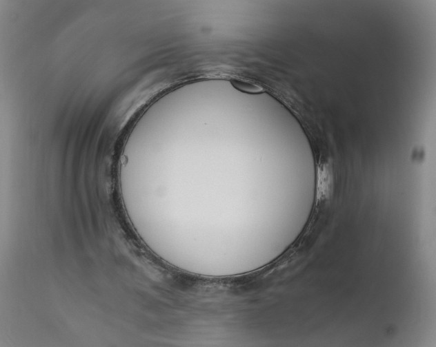 X0000110670291200906261304