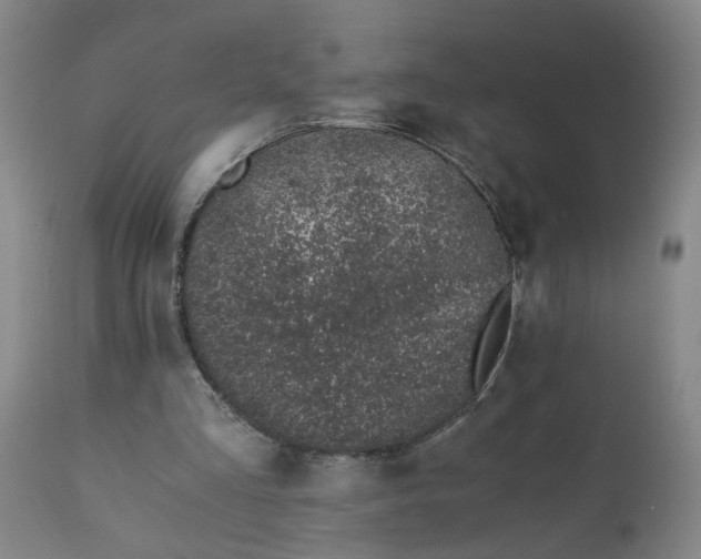 X0000110670293200906261304
