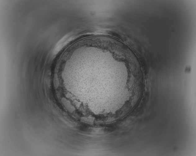 X0000110670295200906261304