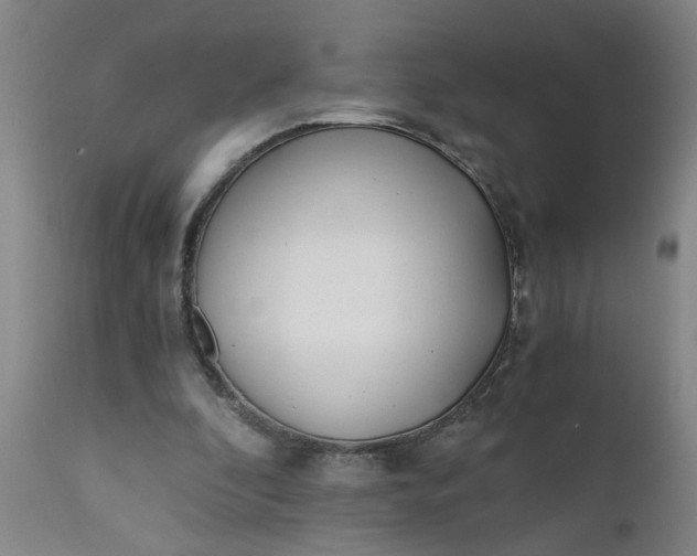 X0000110670296200906261304