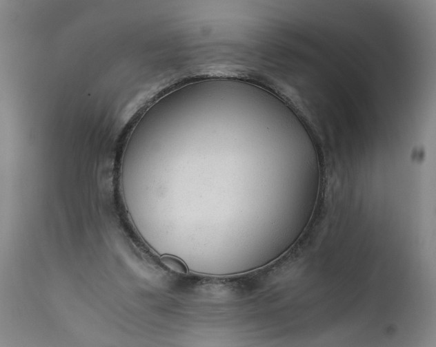 X0000110670299200906261303