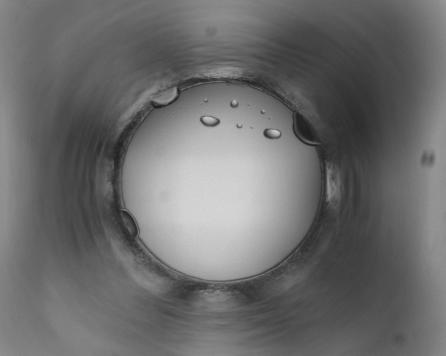 X0000110670300200906261303