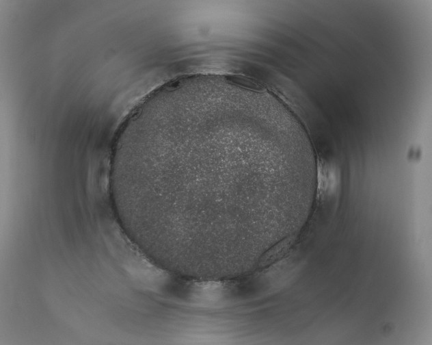 X0000110670301200906261303