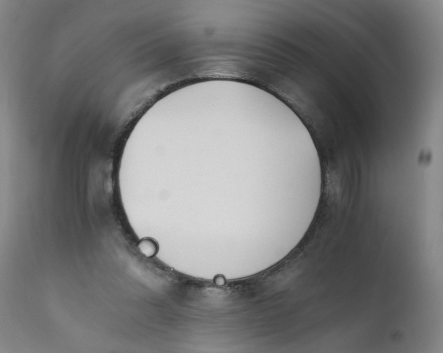 X0000110670302200906261303