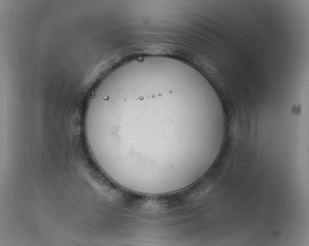 X0000110670303200906261303