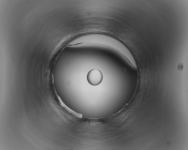 X0000110670304200906261303