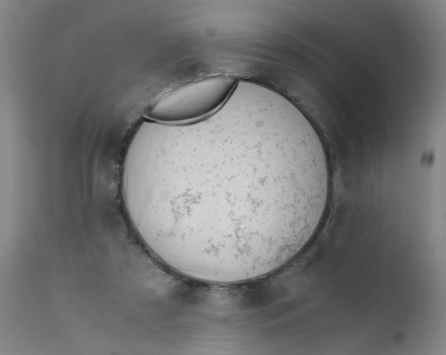X0000110670305200906261303