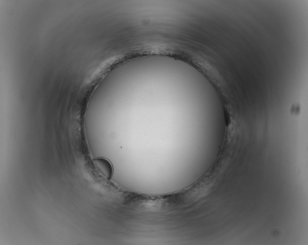 X0000110670306200906261303