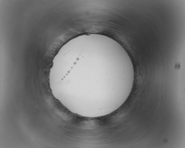 X0000110670307200906261303
