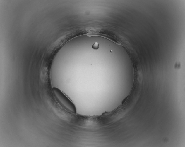 X0000110670308200906261303