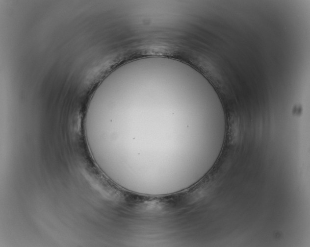 X0000110670310200906261303