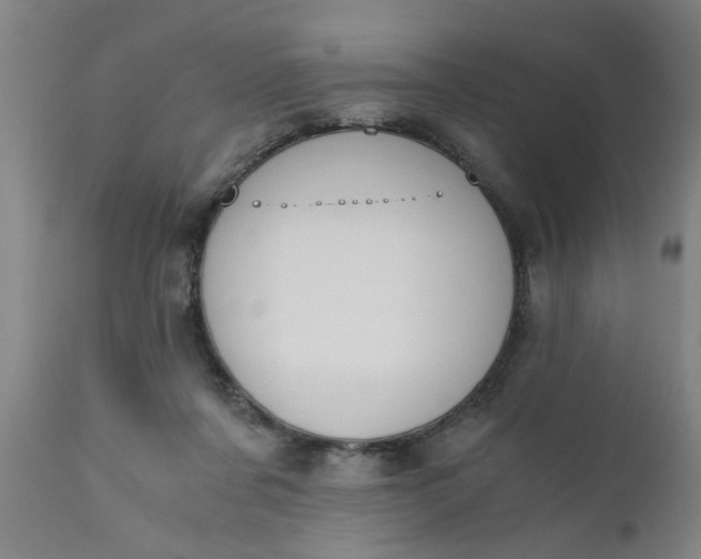 X0000110670311200906261303