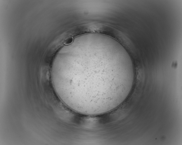 X0000110670313200906261303