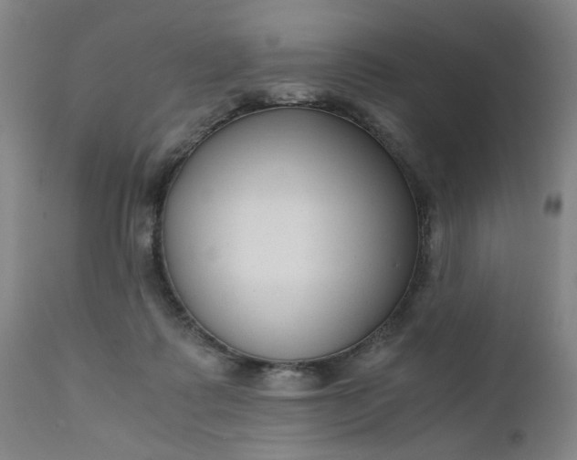 X0000110670315200906261303