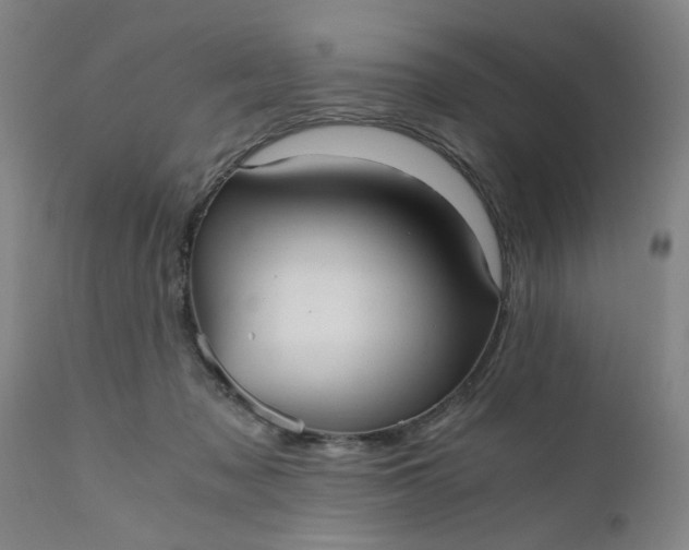 X0000110670317200906261303
