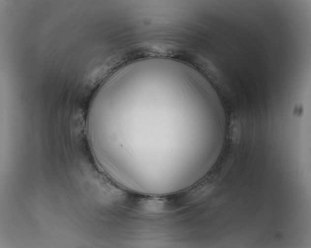 X0000110670318200906261303