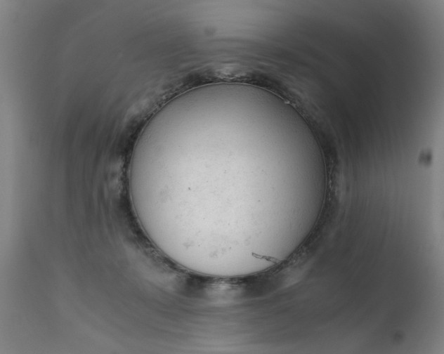 X0000110670319200906261303