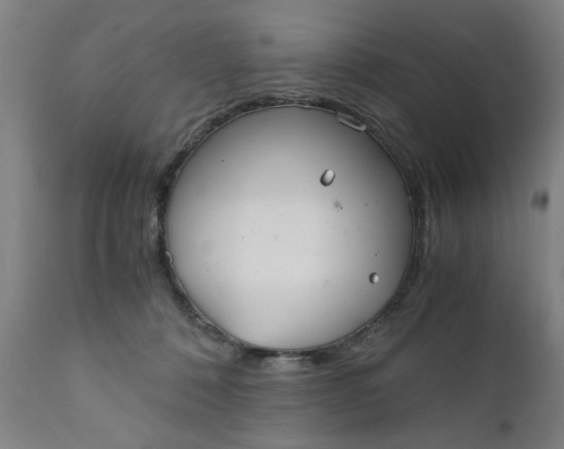 X0000110670320200906261303