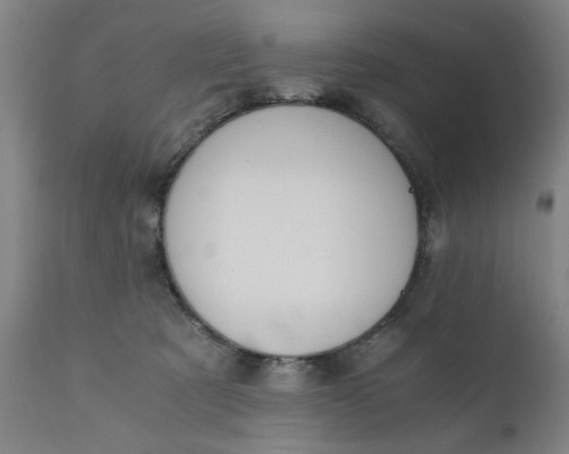 X0000110670321200906261303