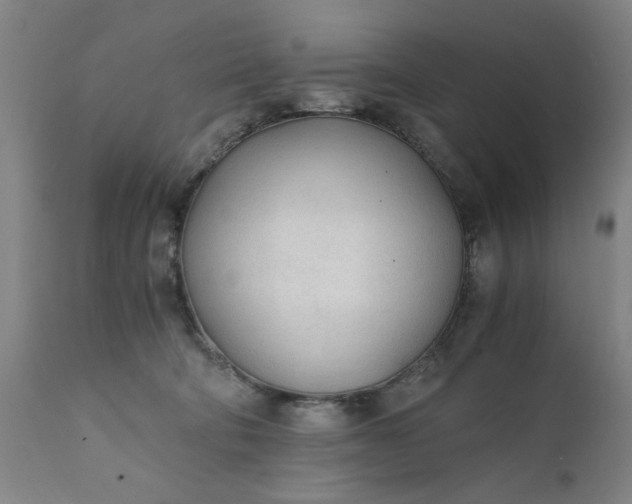 X0000110670322200906261303