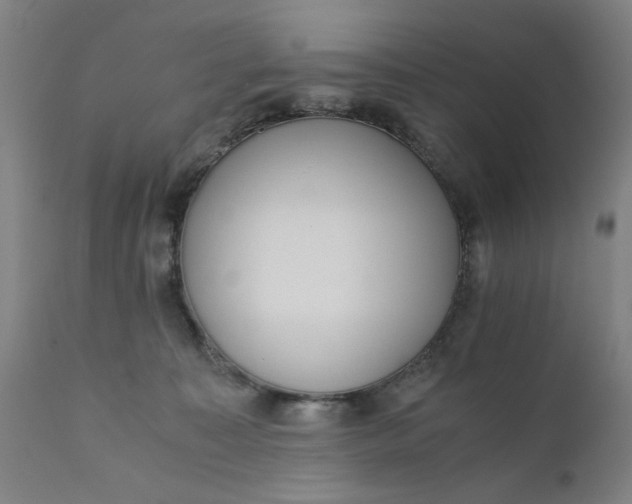 X0000110670323200906261303