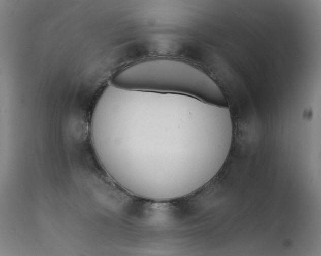 X0000110670324200906261303