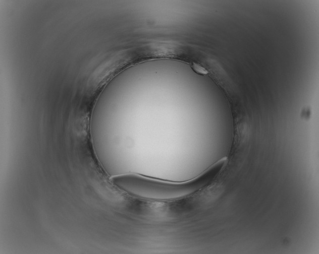X0000110670325200906261303