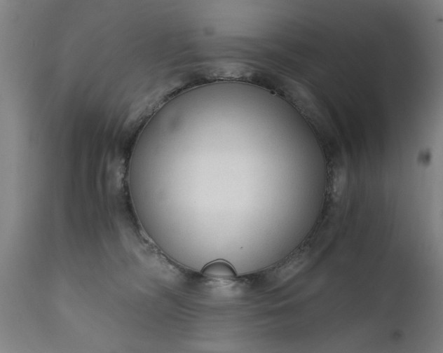 X0000110670326200906261303