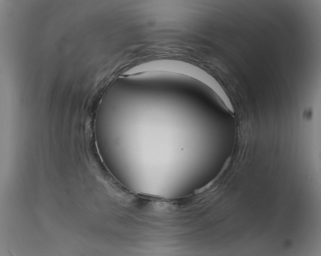 X0000110670327200906261303