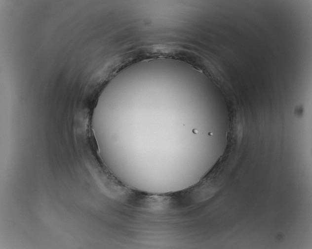 X0000110670328200906261303