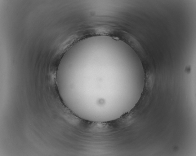 X0000110670329200906261303