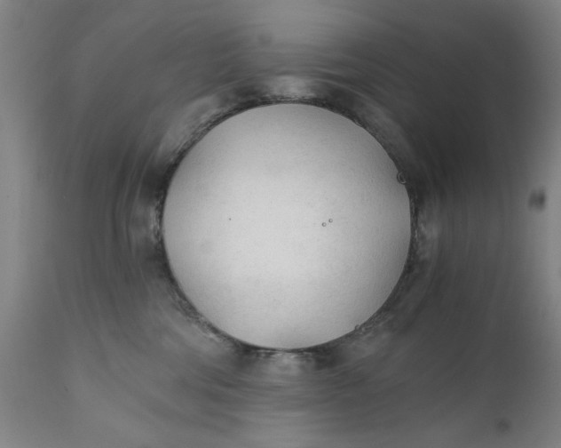 X0000110670330200906261303