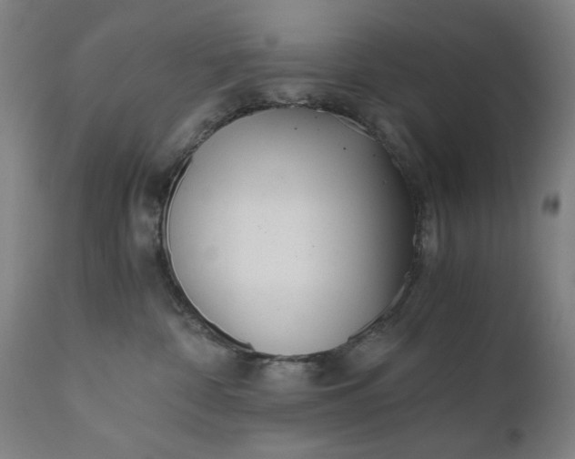 X0000110670332200906261303