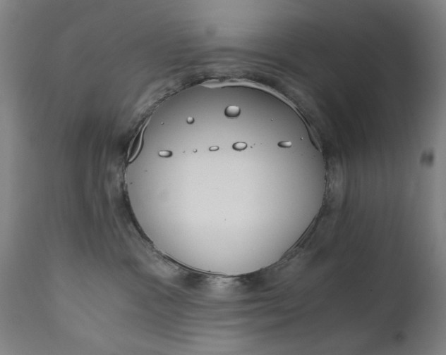 X0000110670333200906261303