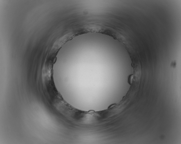 X0000110670334200906261303