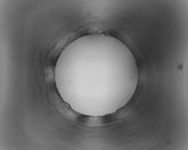 X0000110670335200906261303