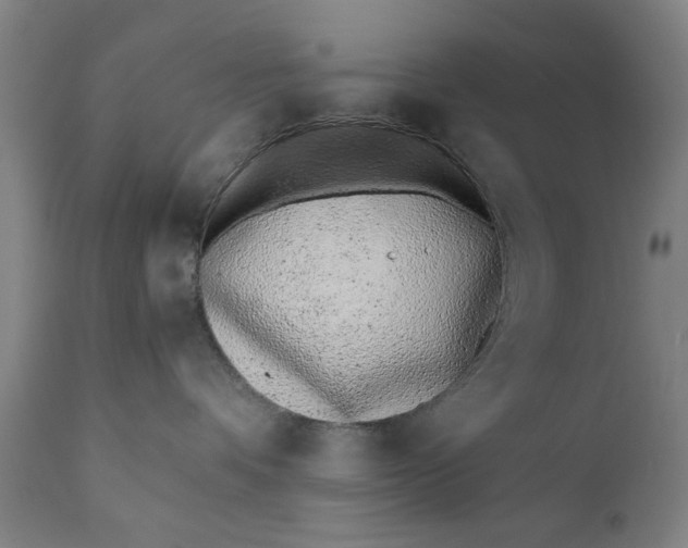 X0000110670336200906261303