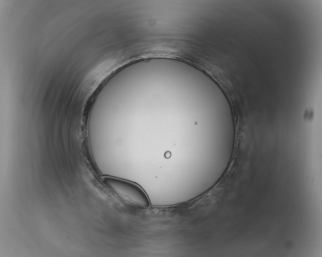 X0000110670338200906261302