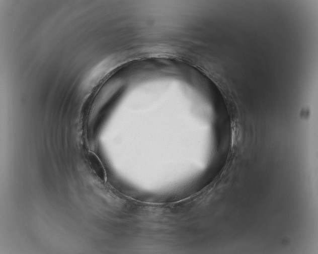 X0000110670339200906261302