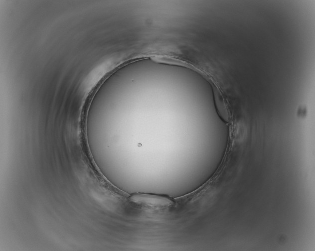 X0000110670340200906261302