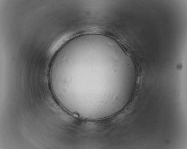X0000110670341200906261302