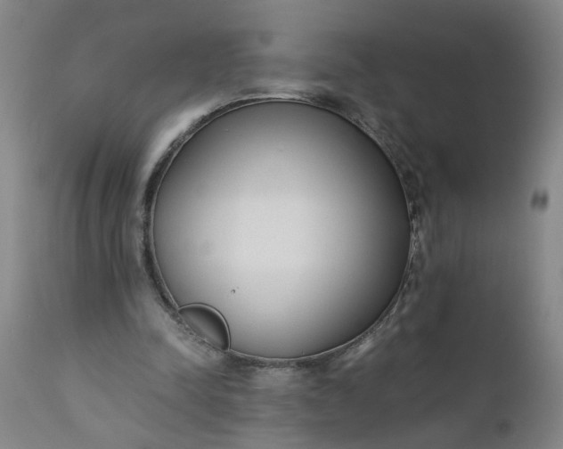 X0000110670342200906261302