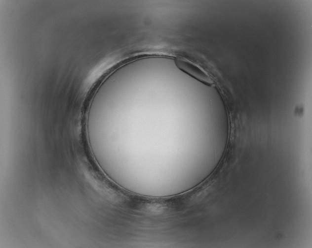 X0000110670344200906261302