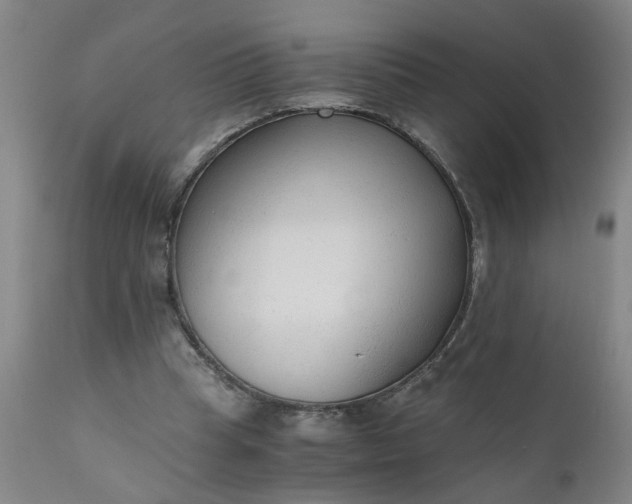 X0000110670345200906261302