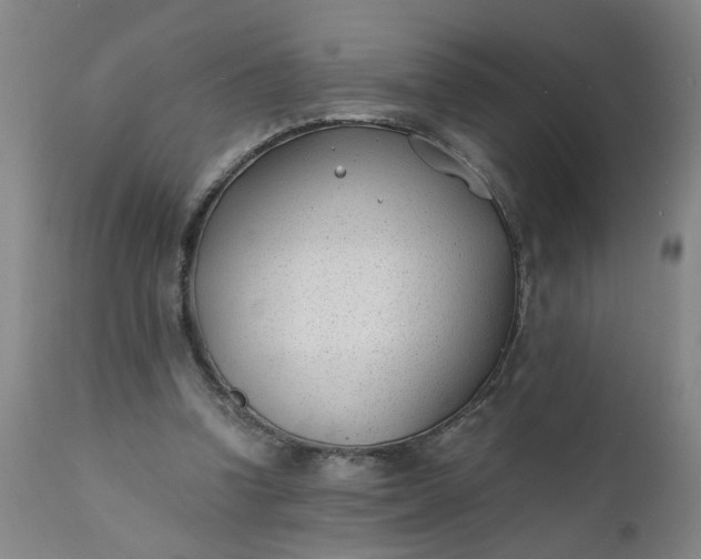 X0000110670346200906261302