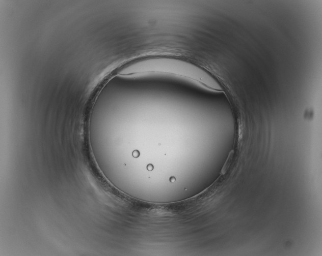 X0000110670348200906261302