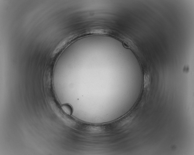 X0000110670349200906261302