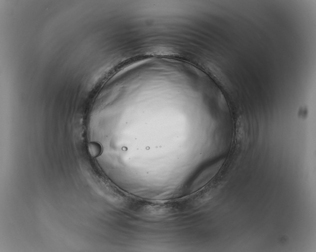 X0000110670351200906261302